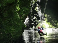 Plettenberg Bay, Canyoning Trip - Housity