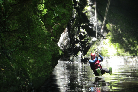 Plettenberg Bay: Canyoning Trip Plettenberg Bay: Standard Canyoning Trip