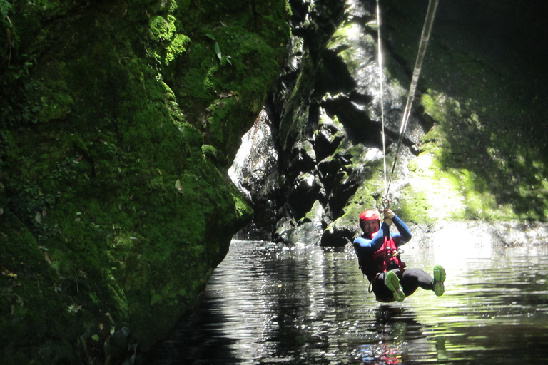 Plettenberg Bay: Canyoning Trip Plettenberg Bay: Standard Canyoning Trip