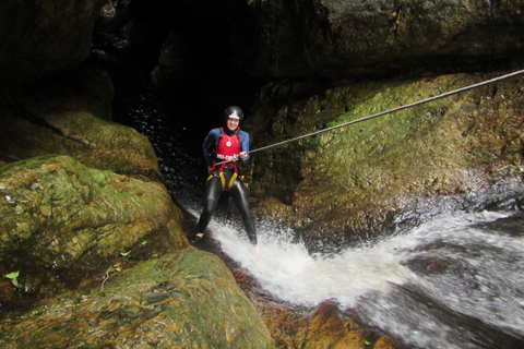 Plettenberg Bay: Canyoning Trip Plettenberg Bay: Standard Canyoning Trip