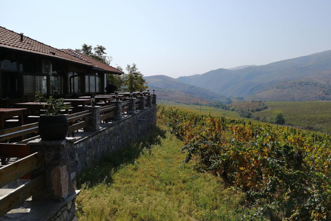 From Skopje: Private Tour of Sopot Winery with LunchFrom Skopje: Private Tour of Chateau Sopot Winery with Lunch