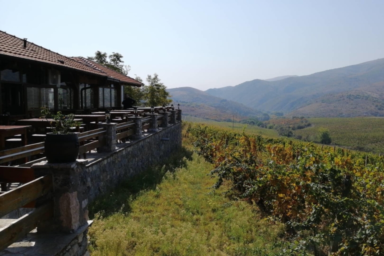 De Skopje: visite privée de la cave de Château Sopot avec déjeuner