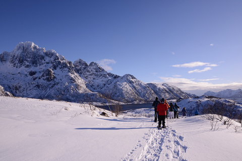 Svolvær: Esploratore della natura con le racchette da neveSvolvær: esploratore della natura con le racchette da neve