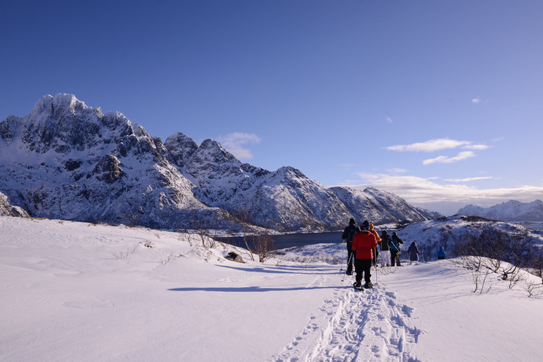 Svolvær: Esploratore della natura con le racchette da neveSvolvær: esploratore della natura con le racchette da neve