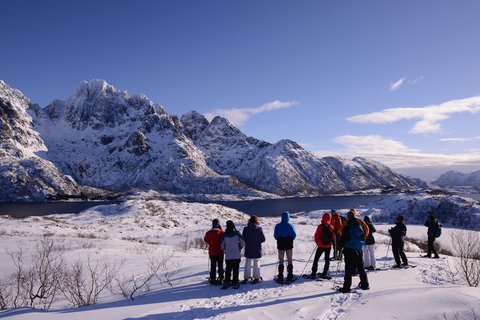 Svolvær: Esploratore della natura con le racchette da neveSvolvær: esploratore della natura con le racchette da neve