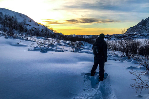 Svolvær: Esploratore della natura con le racchette da neveSvolvær: esploratore della natura con le racchette da neve
