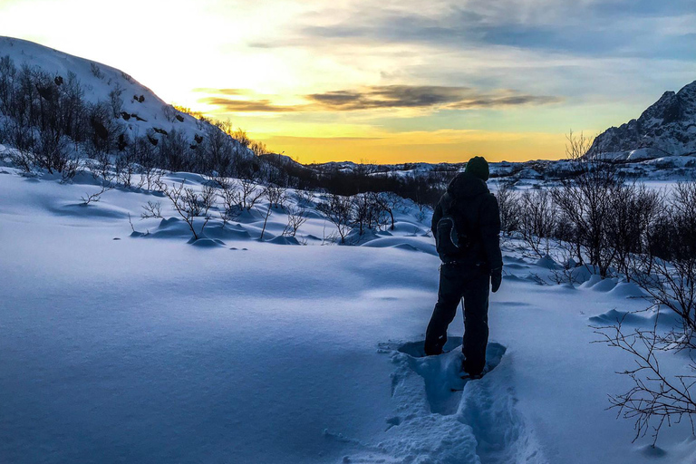 Svolvær: Esploratore della natura con le racchette da neveSvolvær: esploratore della natura con le racchette da neve