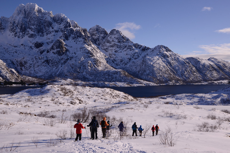 Svolvær: Esploratore della natura con le racchette da neveSvolvær: esploratore della natura con le racchette da neve