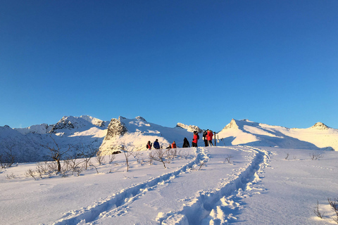 Svolvær: Esploratore della natura con le racchette da neveSvolvær: esploratore della natura con le racchette da neve