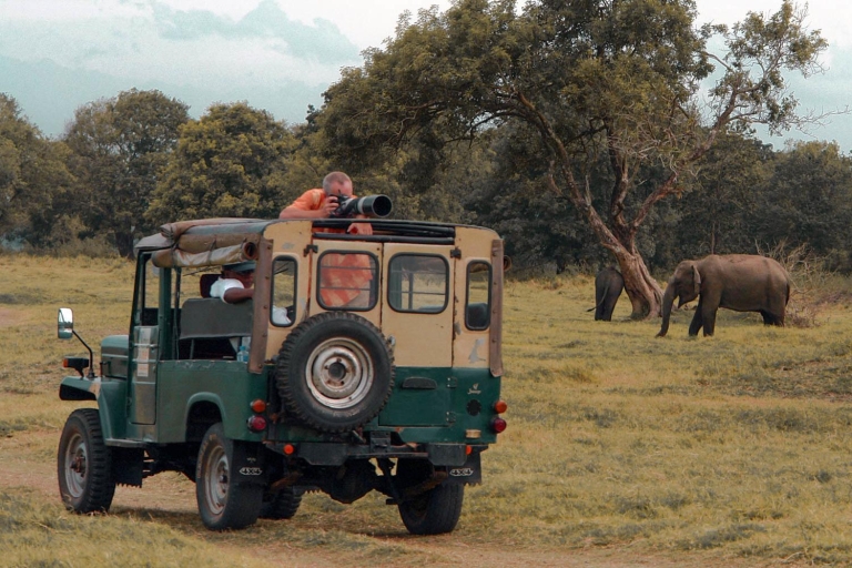 Parque Nacional de Udawalawa: Safari privadoParque Nacional de Udawalawa: Safari con Entradas