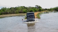 Kumana, Private 3-Hour Kumana National Park Safari - Housity