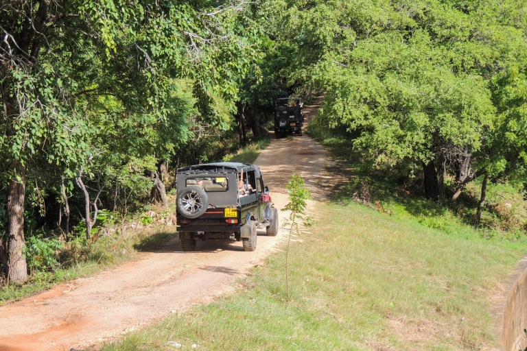 Kaudulla National Park: Private SafariKaudulla Nationalpark: Private Safari