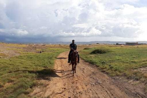 Aruba: 1,5 uur paardrijden Tour naar Urirama Cove