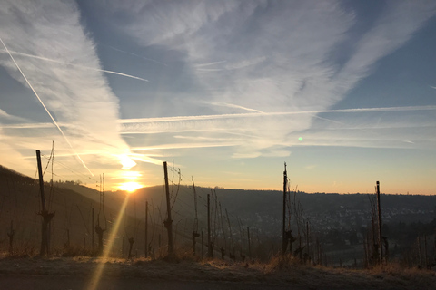 Stuttgart: Geführte Glühwein-Tour