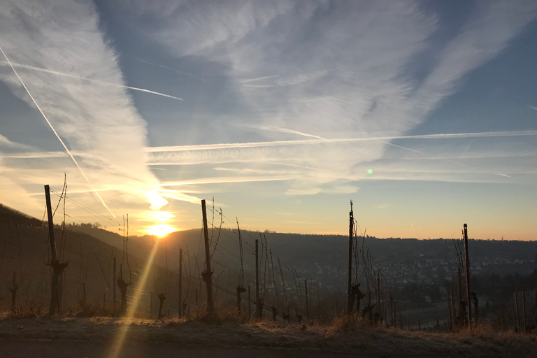 Stuttgart: wycieczka z przewodnikiem po Glühwein