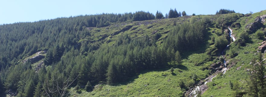 Excursion d'une journée dans les montagnes de Wicklow, y compris Glendalough