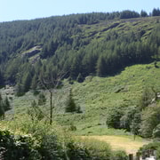 Wicklow Mountains Private Day Tour including Glendalough