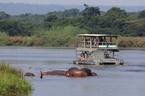 Murchison Falls National Park: 2-Day Safari with Boat Cruise