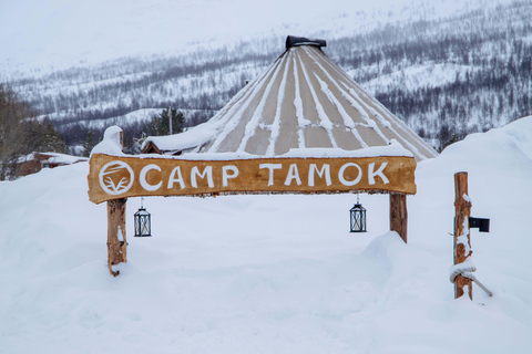 From Tromsø: Snowmobiling Tour at Camp TamokSnowmobiling Tour at Camp Tamok: Daytime Departure