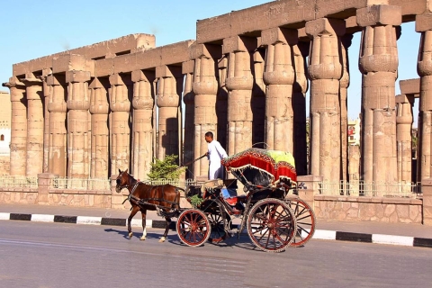 Ab Kairo: 2-tägige Tour nach Abu Simbel & LuxorAb Kairo: 2-tägige Abu Simbel und Luxor Tour