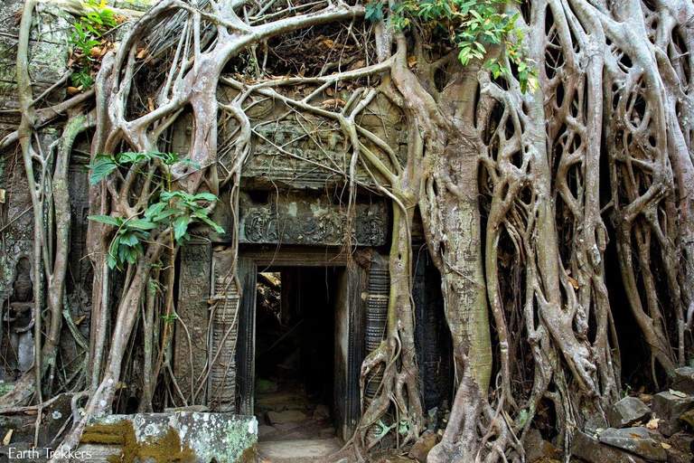 Full-Day Angkor Wat, Banteay Srei & Highlights Private Tour