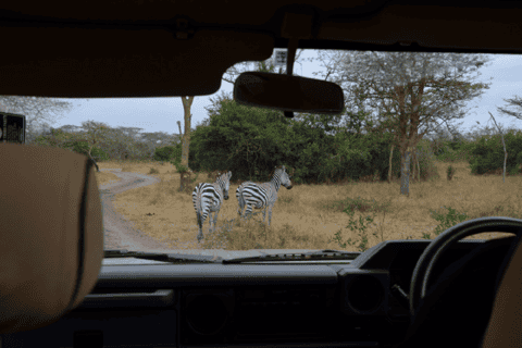 Lake Mburo National Park with Equator, Game Drive & Cruise
