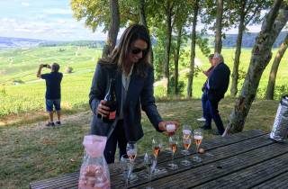 Paris: Private Tagestour in die Champagne mit 8 Verkostungen und Mittagessen