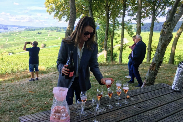 Paris: Privater Tagesausflug zum Champagner mit 8 Verkostungen & Mittagessen