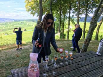 Paris: Privat dagstur till Champagne Privat dagsutflykt till Champagne med 8 provsmakningar & lunch