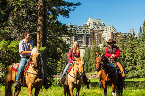 Banff: 4-stündiger Ausritt auf dem Sulphur Mountain für Fortgeschrittene