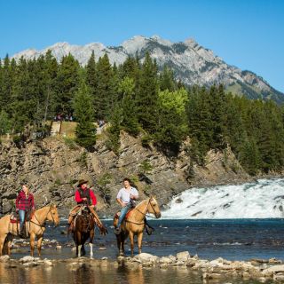 Banff: 4-Hour Sulphur Mountain Intermediate Horseback Ride