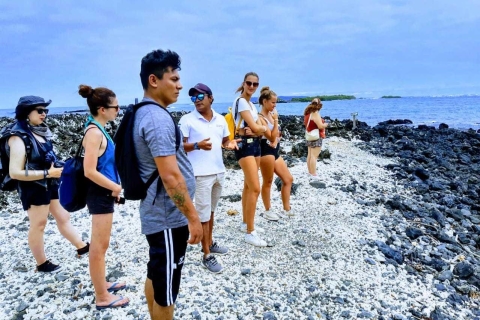 Excursión de 6 días en San Cristóbal y Santa Cruz: Vida salvaje y snorkelPrograma de hoteles de clase turista