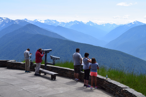 Olympic National Park: Sol Duc Falls & Hurricane Ridge Tour
