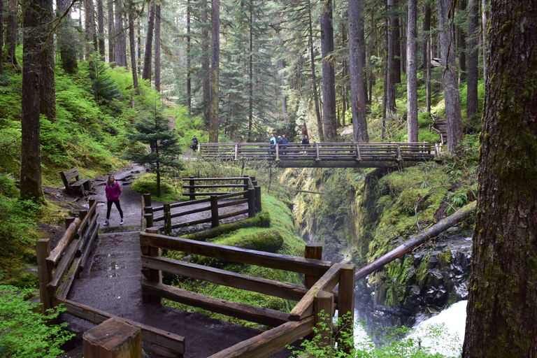 Olympic National Park: Sol Duc Falls & Hurricane Ridge Tour