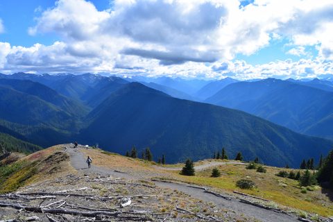 Olympic National Park: Sol Duc Falls & Hurricane Ridge Tour