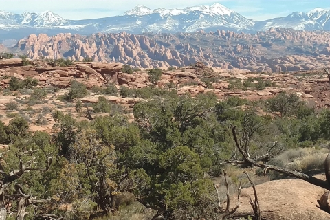 Desde Moab: Rock of Ages Carrera de obstáculos moderada de rappelling