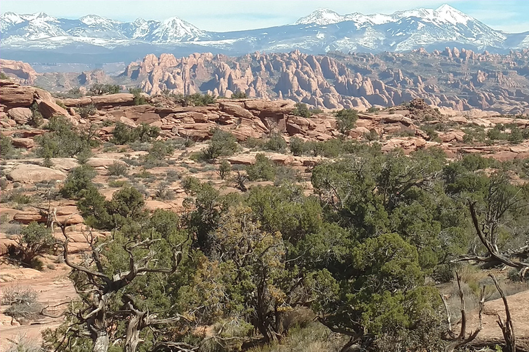 De Moab: parcours d'obstacles en rappel modéré Rock of Ages