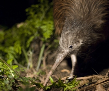 Orana Wildlife Park Admission