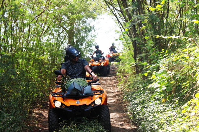 Visit Bora Bora Island Tour and Mountains Getaway by Quad Bike in Tahiti