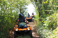 Bora Bora, Island Tour und Berge Getaway mit Quad Bike - Hizvo