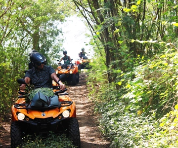 Bora Bora: Island Tour and Mountains Getaway by Quad Bike