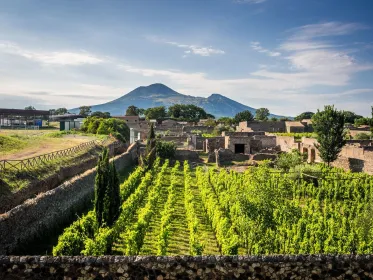 Neapel: Vesuv, Pompeji und Weingut Tour