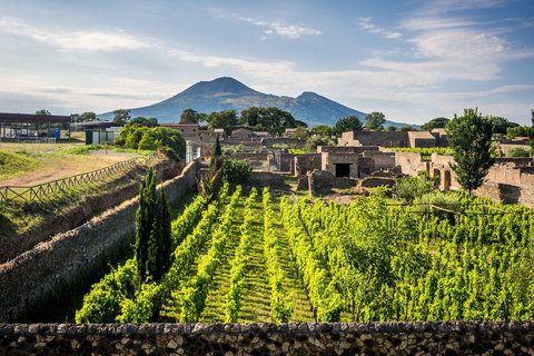 Naples: Vesuvius, Pompeii, and Vineyards Tour