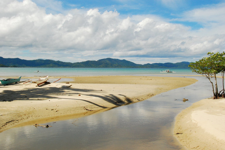 Port Barton: Island Hopping to Turtle Spot & Reefs Shared Tour