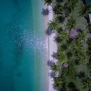 Port Barton: Island Hopping to Turtle Spot & Reefs