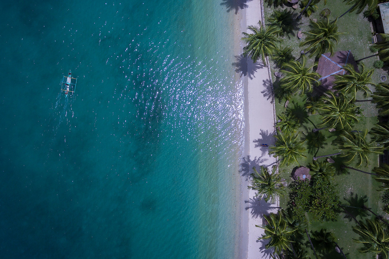 Port Barton: Island Hopping to Turtle Spot & Reefs Shared Tour