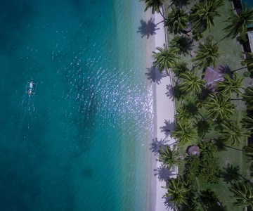 Port Barton: Island Hopping to Turtle Spot & Reef with Lunch