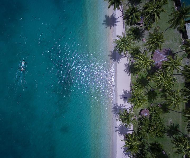 Port Barton: Island Hopping to Turtle Spot & Reefs