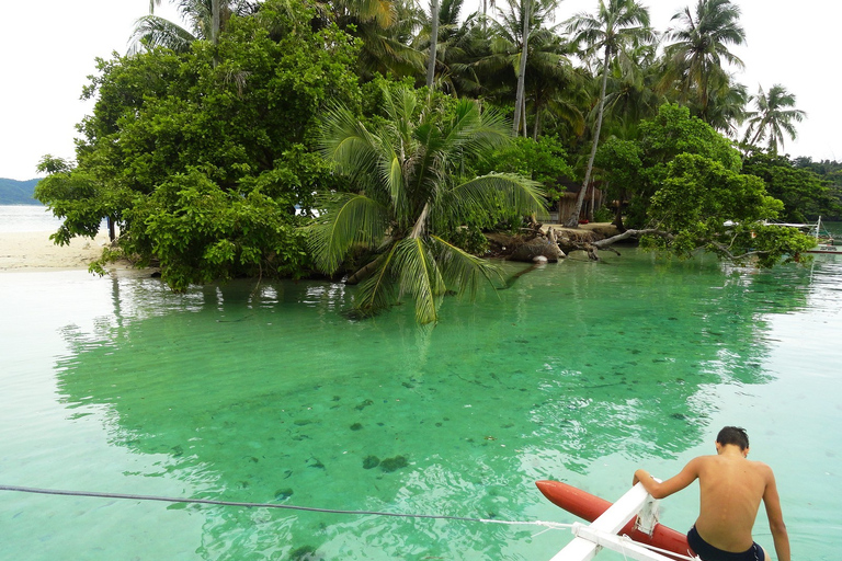 Port Barton: Island Hopping do Turtle Spot i rafyPrywatna wycieczka