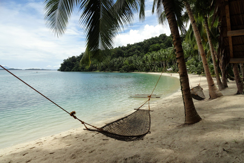 Port Barton: Island Hopping to Turtle Spot & Reefs Shared Tour